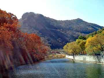 新澳天天开奖资料大全旅游团，神医王妃很草包